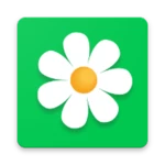 Logo of Flor2U заказ, доставка цветов android Application 